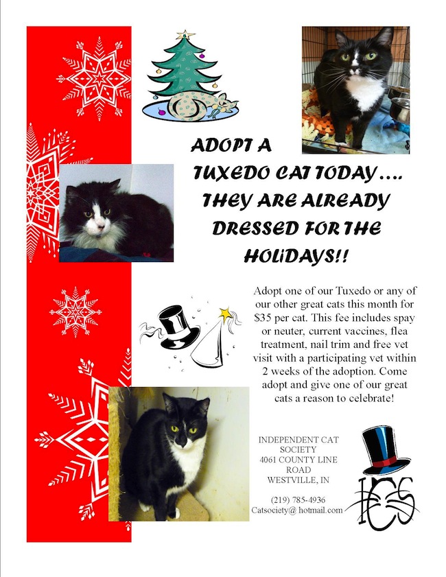 Tuxedo_Promo