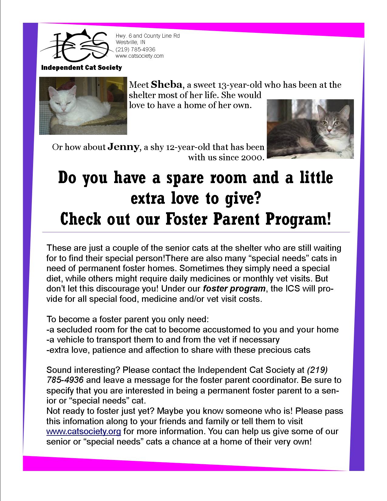 foster-parent-program